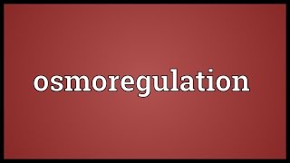 Osmoregulation Meaning [upl. by Wight780]