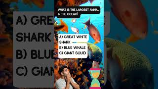 Deep Sea Challenge 11 facts marinelife quiz [upl. by Weintrob]