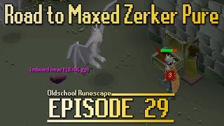 OSRS Road To Maxed Zerker Pure  Episode 29  Imbued Heart [upl. by Angadreme]