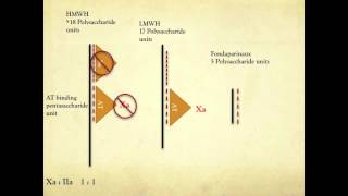 Heparin Mechanism of Action [upl. by Ahsenek]