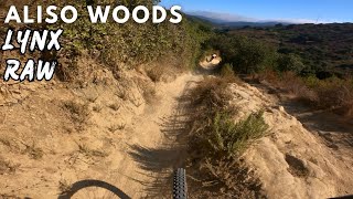 Lynx  Aliso woods  4k  EP2 [upl. by Ioved]