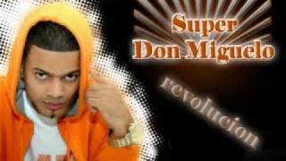 Don Miguelo  Mi Vieja [upl. by Daveda]