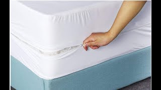 Utopia Bedding Zippered Mattress Encasement  Bed Bug Proof Dust Mite Proof Mattress Cover [upl. by Machute509]