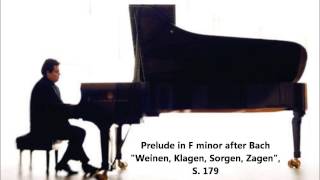 Volodos plays BachLiszt quotWeinen Klagen Sorgen Zagenquot [upl. by Irfan634]