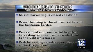 Marine biotoxin closures affect entire Oregon coast [upl. by Akem342]