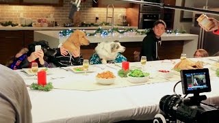 Freshpet Holiday Feast  Behind the Scenes [upl. by Spiros]