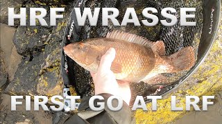 Lure fishing  Free Rig  HRF  February Wrasse with first attempt at LRF [upl. by Blodget]