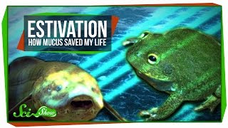 Estivation How Mucus Saved My Life [upl. by Mount]