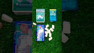 Center fresh Mints vs tictac Big pack vs HAPPYDENT pack 2 unboxing trending youtube shortvideo [upl. by Hennahane376]