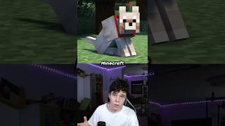 So sieht Minecraft für deinen Hund aus😭 [upl. by Refotsirc622]