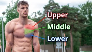 Calisthenics CHEST Workout for Beginners amp Advanced  6 Exercises [upl. by Maillliw785]