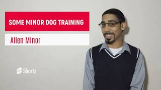 Some Minor Dog Training  Introduction [upl. by Dnalon]