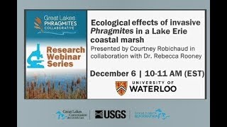 Ecological effects of invasive Phragmites in a Lake Erie coastal marsh [upl. by Charron190]