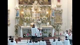 The New Mass vs the Traditional Latin Mass Full Movie [upl. by Langbehn911]