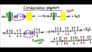 Condensation polymers  how is polyester made [upl. by Eoin]