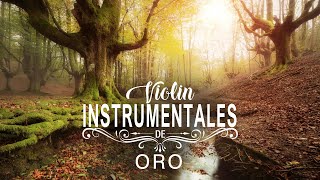 Violines de Oro  Música Instrumental Orquestada  Grandes Exitos Instrumentales de Oro [upl. by Suivatna]