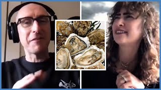 Are Oysters Vegan [upl. by Lundquist870]