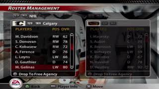 NHL 2005 Calgary Flames Overall Player Ratings [upl. by Zohara]