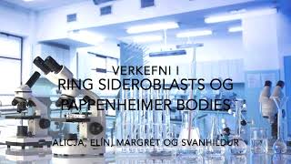 Verkefni I Aðferðafræði 1 Ring sideroblast og pappenheimer bodies [upl. by Meredith]