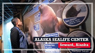 How to Get to Alaska Sealife Center in Seward Alaska [upl. by Kone]