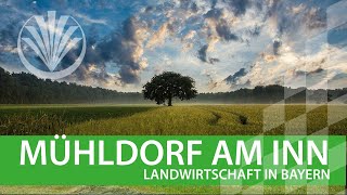 Landwirtschaft in Bayern Landkreis Mühldorf in Oberbayern [upl. by Regan]