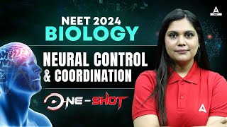 Neural Control and Coordination Class 11 One Shot  NEET 2024 Biology  Garima Goel [upl. by Winifred993]