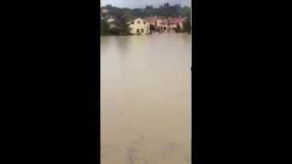 Alluvione Senigallia Borgo Bicchia sottacqua [upl. by Germayne]