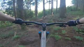 BEST DALBY FOREST 2023 GOPRO CLIPS [upl. by Luci204]