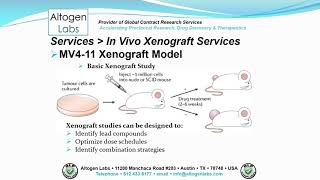 Altogen Labs MV411 Xenograft Service Leukemia [upl. by Sualkin]