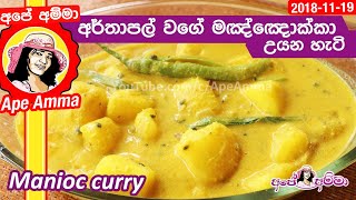 ✔ අර්තාපල් වගේ මඤ්ඤොක්කා උයන හැටි Creamy Manioc recipe by Apé Amma [upl. by Asselam]