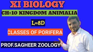 Classes of Porifera Lec8D XI BIOLOGY profsagheer sagheer Zoology [upl. by Consalve]