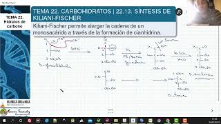 TEMA 22 CARBOHIDRATOS  2213 SÍNTESIS DE KILIANI  FISCHER [upl. by Burty]