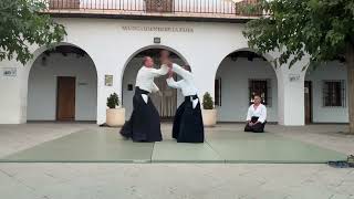 Guillermo Balderas 5 º dan aikido aikikai Pitres La Taha 2024 [upl. by Llerrud]