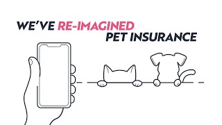 Waggel Pet insurance but like easy [upl. by Aicilic]