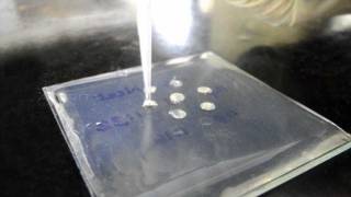 Ouchterlony Double Diffusion for Antibody Titration  Amrita University [upl. by Asher]