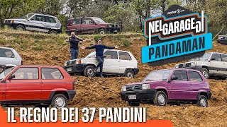 La collezione di Fiat PANDA più grande al MONDO [upl. by Rubens]