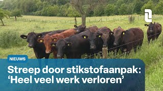 Stikstofaanpak van tafel verbaasde reacties op het kabinet  L1 Nieuws [upl. by Anaiv938]