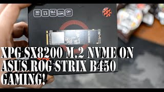 XPG SX8200 Pro on an ASUS Rog Strix B450 Gaming Motherboard [upl. by Dranik61]