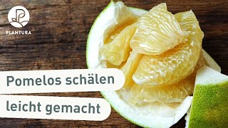 Lifehack Pomelos schälen aufschneiden und essen [upl. by Awad384]