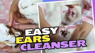 Cairan Pembersih Telinga Kucing Cara Mudah dan Efektif Cassiel Pet Ear Cleanser [upl. by Uda242]