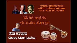 Narayan Gopal  Birsera Feri Malai Nahera Full lyrics in description [upl. by Ellehcsar703]