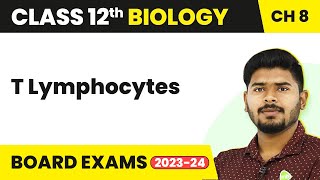 T Lymphocytes  Human Health and Disease  Class 12 Biology 202223 [upl. by Yuji]