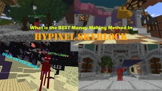 What is the Best Money Making Method In Hypixel Skyblock [upl. by Nnairrek]