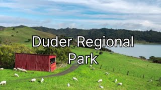 Duder Regional Park  New Zealand  Auckland  Farm [upl. by Fanestil]