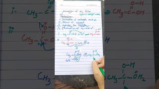 Mechanism of formation of ester organic chemistry class 12 [upl. by Dardani]