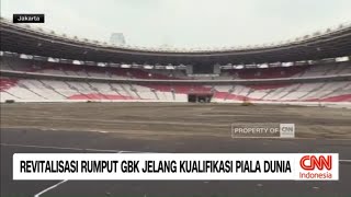 Revitalisasi Rumput GBK Jelang Kualifikasi Piala Dunia [upl. by Nuzzi]