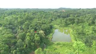 সিলেটের সুন্দর একটি চা বাগান। A beautiful tea garden in Sylhet [upl. by Jarad]