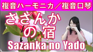 P517 『さざんかの宿』”Sazanka no Yado” 複音ハーモニカ by 柳川優子 Yuko Yanagawa Tremolo Harmonica 1000 複音口琴 [upl. by Zetra]