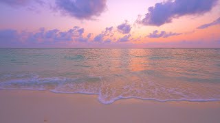 Ocean 4K 12 HOURS 🏝 Pacific Island Paradise in Maldives [upl. by Tlevesoor]