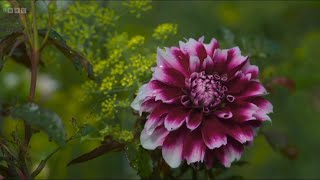 Gardeners World 2024 Eps 25 12 [upl. by Sidoon]